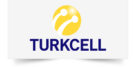 Kamera ve güvenlik sistemleri alımı işi.